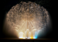 Amazing Dandelion Water Fountain , Mini Music Fountain Subject Theme Customized supplier