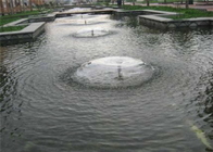 Brilliant Mushroom Water Fountain , Morning Glory Dancing Pool Fountain supplier