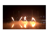 Modern Outdoor Flaming Water Fountain Led Firework Lights Music Dancing Style supplier